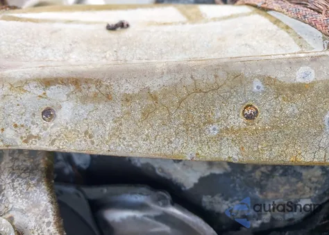 2023 Tesla Model Y Rwd from USA, damaged, VIN 7SAYGDED2PF946309